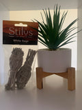 White Sage Twin Pack 10cm