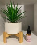 Diffuser Fragrance Oils